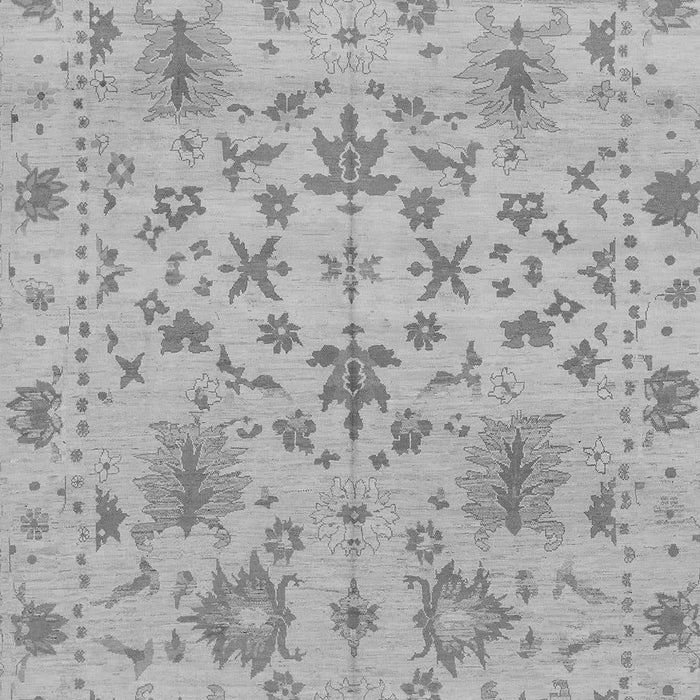 Oriental Gray Traditional Rug, abs1656gry