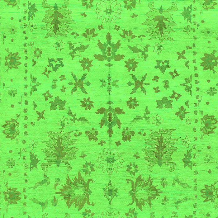 Oriental Green Traditional Rug, abs1656grn