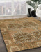 Machine Washable Abstract Dark Bisque Brown Rug in a Family Room, wshabs1657