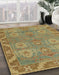 Abstract Copper Green Oriental Rug in Family Room, abs1658