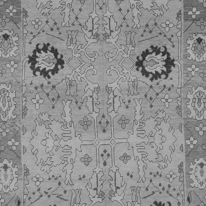 Oriental Gray Traditional Rug, abs1661gry