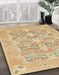 Abstract Bronze Brown Oriental Rug in Family Room, abs1662