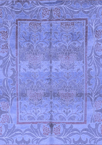 Oriental Blue Traditional Rug, abs1674blu