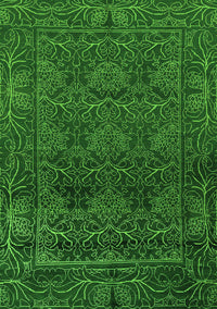 Persian Green Bohemian Rug, abs1676grn