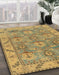 Abstract Gold Oriental Rug in Family Room, abs1679