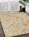 Abstract Brown Sand Brown Oriental Rug in Family Room, abs1682