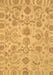 Machine Washable Oriental Brown Traditional Rug, wshabs1683brn