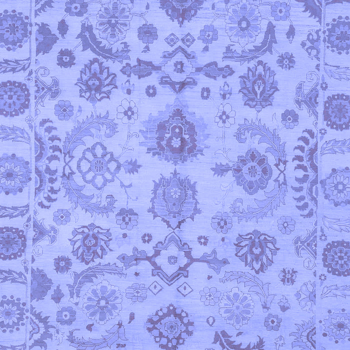 Oriental Blue Traditional Rug, abs1683blu