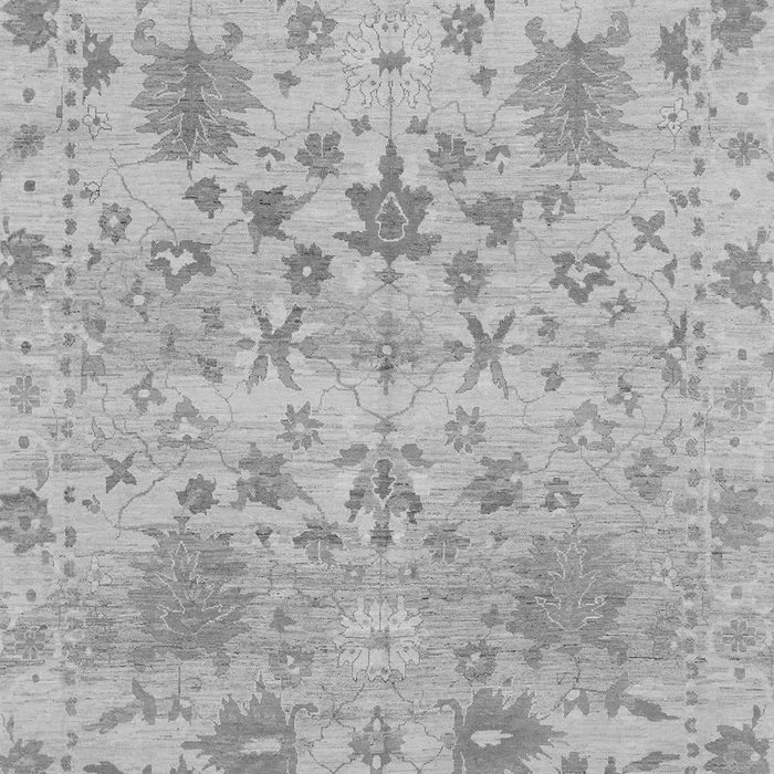 Machine Washable Oriental Gray Traditional Rug, wshabs1684gry