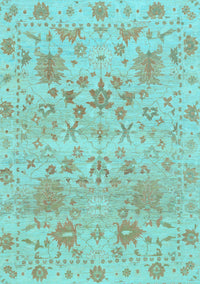 Oriental Light Blue Traditional Rug, abs1684lblu