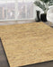 Machine Washable Abstract Cinnamon Brown Rug in a Family Room, wshabs1692