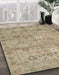 Machine Washable Abstract Dark Almond Brown Rug in a Family Room, wshabs1717