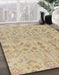 Machine Washable Abstract Brown Rug in a Family Room, wshabs1718