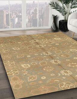 Abstract Cinnamon Brown Oriental Rug in Family Room, abs1720