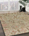 Abstract Dark Khaki Green Oriental Rug in Family Room, abs1721