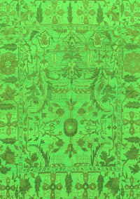 Oriental Green Traditional Rug, abs1721grn