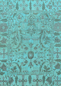 Oriental Light Blue Traditional Rug, abs1721lblu