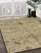 Abstract Brownish Green Oriental Rug in Family Room, abs1722