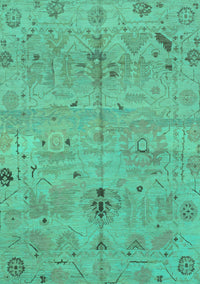 Oriental Turquoise Traditional Rug, abs1722turq