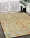 Abstract Bronze Brown Oriental Rug in Family Room, abs1723