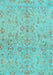 Oriental Light Blue Traditional Rug, abs1723lblu