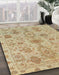 Machine Washable Abstract Bronze Brown Rug in a Family Room, wshabs1724