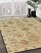 Abstract Bronze Brown Oriental Rug in Family Room, abs1724