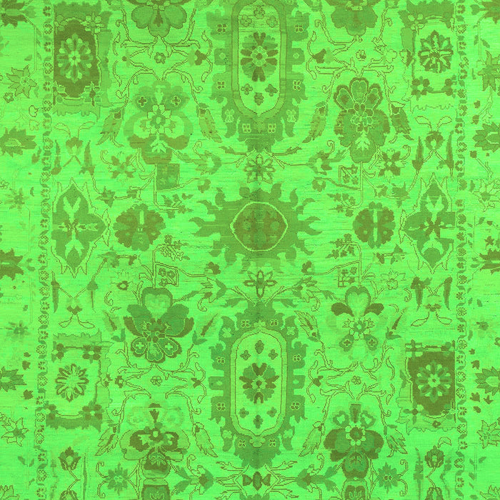Oriental Green Traditional Rug, abs1724grn