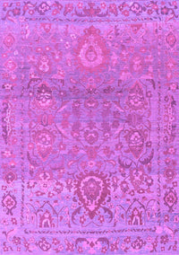 Oriental Purple Traditional Rug, abs1725pur