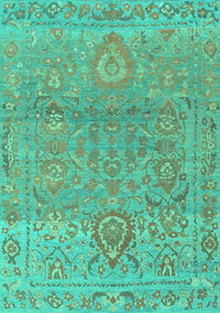 Oriental Turquoise Traditional Rug, abs1725turq