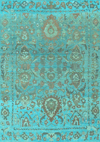 Oriental Light Blue Traditional Rug, abs1725lblu