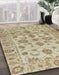 Machine Washable Abstract Brown Rug in a Family Room, wshabs1727