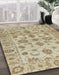 Abstract Brown Oriental Rug in Family Room, abs1727