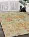 Abstract Bronze Brown Oriental Rug in Family Room, abs1728