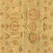 Square Oriental Brown Traditional Rug, abs1728brn