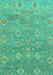 Oriental Turquoise Traditional Rug, abs1730turq