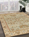 Abstract Bronze Brown Oriental Rug in Family Room, abs1731