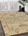 Machine Washable Abstract Bronze Brown Rug in a Family Room, wshabs1731