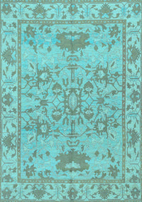 Oriental Light Blue Traditional Rug, abs1731lblu