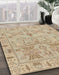 Abstract Brown Oriental Rug in Family Room, abs1736