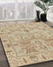 Machine Washable Abstract Brown Rug in a Family Room, wshabs1736