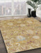 Machine Washable Abstract Cinnamon Brown Rug in a Family Room, wshabs1737