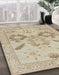 Abstract Camel Brown Oriental Rug in Family Room, abs1738