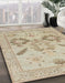 Machine Washable Abstract Camel Brown Rug in a Family Room, wshabs1738