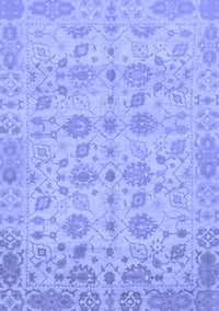 Oriental Blue Traditional Rug, abs1739blu