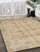 Abstract Brown Oriental Rug in Family Room, abs1739