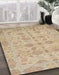 Machine Washable Abstract Brown Rug in a Family Room, wshabs1739