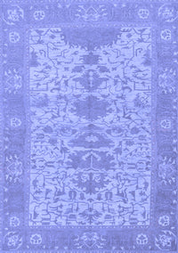 Oriental Blue Traditional Rug, abs1740blu