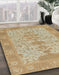 Abstract Cinnamon Brown Oriental Rug in Family Room, abs1740