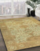 Machine Washable Abstract Cinnamon Brown Rug in a Family Room, wshabs1742